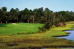 4715 Gold Cup Ln, Hollywood, SC 29449 - Photo 47