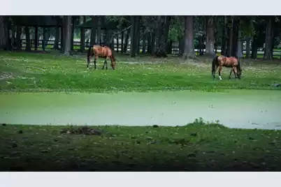 4715 Gold Cup Lane, Hollywood, SC 29449 - Photo 59