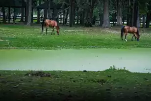 4715 Gold Cup Ln, Hollywood, SC 29449 - Photo 59