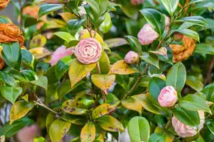 1328 Horseshoe Bend, Mount Pleasant, SC 29464 - Photo 49