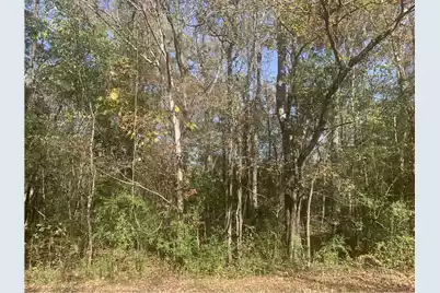 Lot 21 Mary Ellie Drive, Summerville, SC 29483 - Photo 1