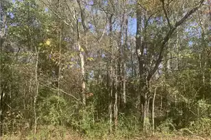 Lot 21 Mary Ellie Dr, Summerville, SC 29483 - Photo 1