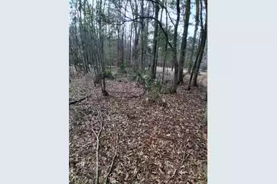 0 Crumley Road #Lot 47 and 47A, Walterboro, SC 29488 - Photo 3