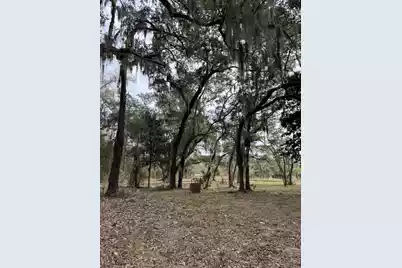 28 Hopkinson Place Drive, Edisto Island, SC 29438 - Photo 3