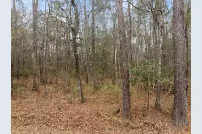 117 Cherrywood Drive, Summerville, SC 29483 - Photo 7