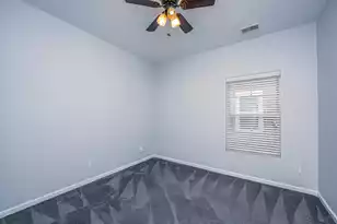 3808 Tupelo Branch Row, Mount Pleasant, SC 29429 - Photo 19