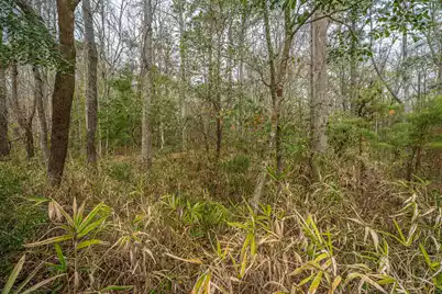 3808 Tupelo Branch Row, Mount Pleasant, SC 29429 - Photo 33