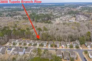 3808 Tupelo Branch Row, Mount Pleasant, SC 29429 - Photo 35