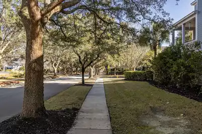 407 Milner Court, Charleston, SC 29492 - Photo 55
