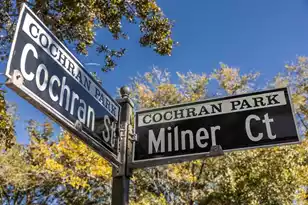 407 Milner Ct, Charleston, SC 29492 - Photo 53