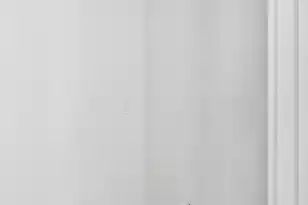 806 Jungle Rd, Edisto Island, SC 29438 - Photo 57