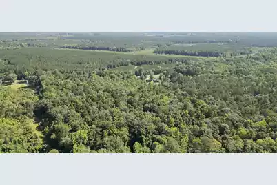 00 Hyde Park Road, Adams Run, SC 29426 - Photo 19