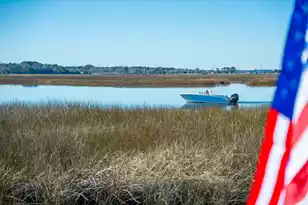 538 Towles Crossing Dr, Johns Island, SC 29455 - Photo 95