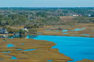 538 Towles Crossing Dr, Johns Island, SC 29455 - Photo 109