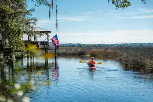 538 Towles Crossing Dr, Johns Island, SC 29455 - Photo 93