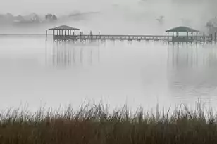 145 Low Tide Ct, Charleston, SC 29492 - Photo 51