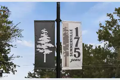 456 Waring Street, Summerville, SC 29483 - Photo 83