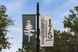 456 Waring St, Summerville, SC 29483 - Photo 83