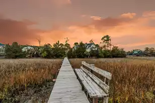 1924 Shields Ln, Mount Pleasant, SC 29466 - Photo 97