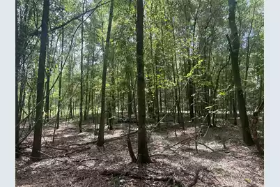 8 Francis Marion Blvd, Summerton, SC 29148 - Photo 15