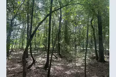 8 Francis Marion Blvd, Summerton, SC 29148 - Photo 13