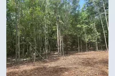 8 Francis Marion Blvd, Summerton, SC 29148 - Photo 11