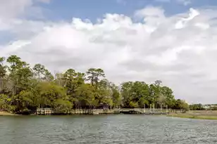 304 Mt Royall Dr, Mount Pleasant, SC 29464 - Photo 39