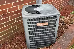 998 North St, Bamberg, SC 29003 - Photo 15