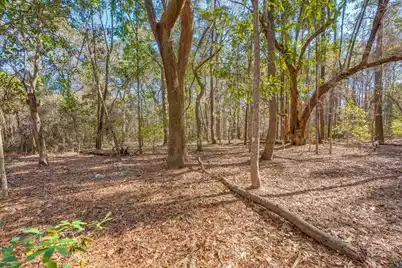 3149 Thomas Jones Road, Johns Island, SC 29455 - Photo 17