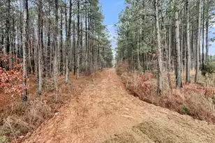 245 Summer Tanager Dr, Ravenel, SC 29470 - Photo 65