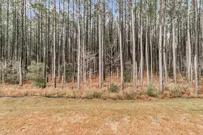 245 Summer Tanager Drive, Ravenel, SC 29470 - Photo 55