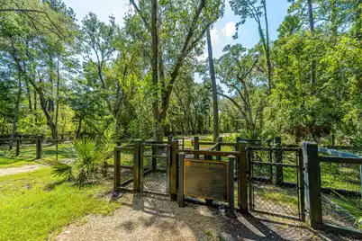 1821 Ground Pine Drive, Charleston, SC 29414 - Photo 37