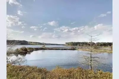 723 Maynard Lane, Summerville, SC 29486 - Photo 67