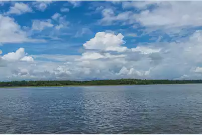 2810 Rivertowne Parkway, Mount Pleasant, SC 29466 - Photo 39