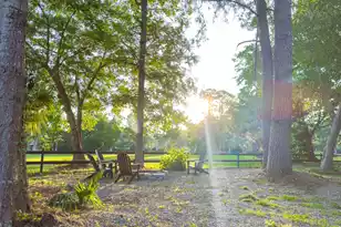 27 Fitzroy Dr, Charleston, SC 29414 - Photo 51