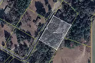 0 Bugleflower Ln, Saint Matthews, SC 29135 - Photo 1