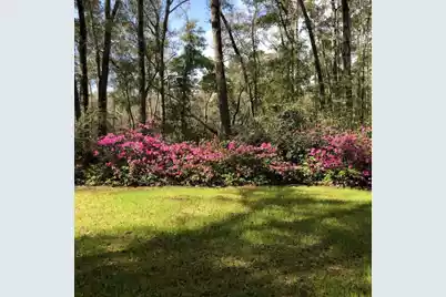 4150 Nature View Circle, Johns Island, SC 29455 - Photo 53