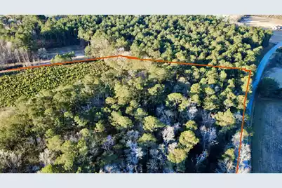 1 Dantzler Road, Harleyville, SC 29448 - Photo 3