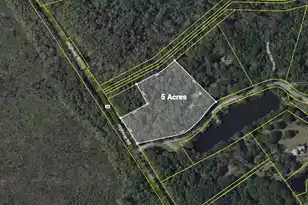 6370 Shilelagh Oaks Pkwy, Ravenel, SC 29470 - Photo 67