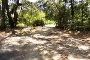 6370 Shilelagh Oaks Pkwy, Ravenel, SC 29470 - Photo 63