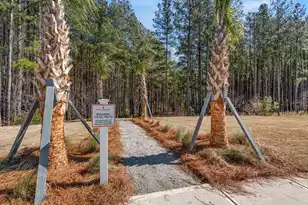 1068 Magnolia Warbler Wy, Ravenel, SC 29470 - Photo 47