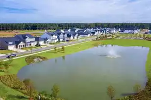 1024 Patagonia St, Summerville, SC 29485 - Photo 13