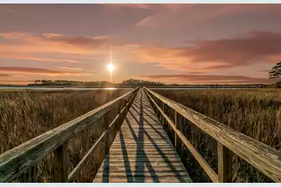 121 Bobcat Lane, Kiawah Island, SC 29455 - Photo 53