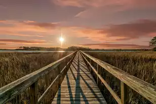 121 Bobcat Ln, Kiawah Island, SC 29455 - Photo 53