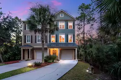 164 Palm Cove Way, Mount Pleasant, SC 29466 - Photo 1