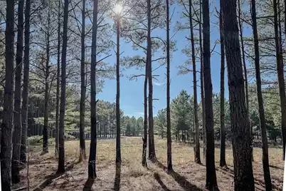 0 Leeds Road, Chester, SC 29706 - Photo 13