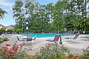 114 Sweet Alyssum Dr, Ladson, SC 29456 - Photo 59