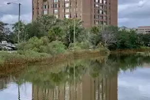 14 Lockwood Dr, Charleston, SC 29401 - Photo 25