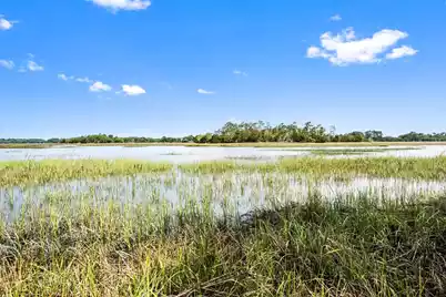 0 Allandale Plantation Road, Wadmalaw Island, SC 29487 - Photo 23
