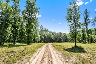 0 Allandale Plantation Road, Wadmalaw Island, SC 29487 - Photo 49